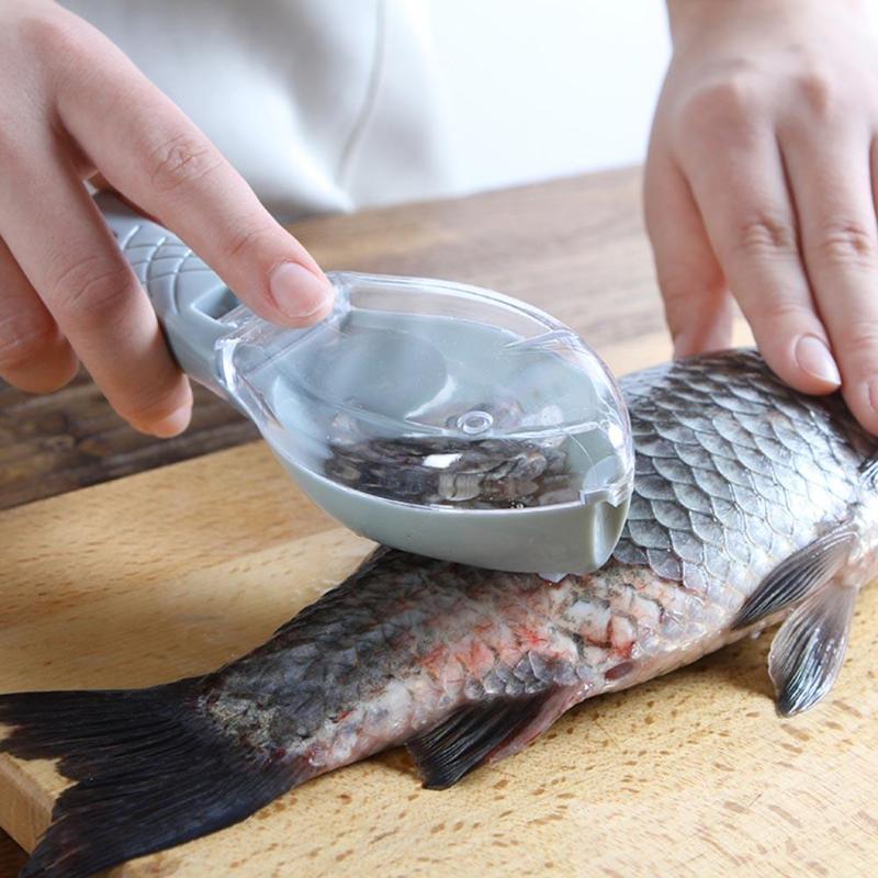 Escova para retirar escamas de peixe