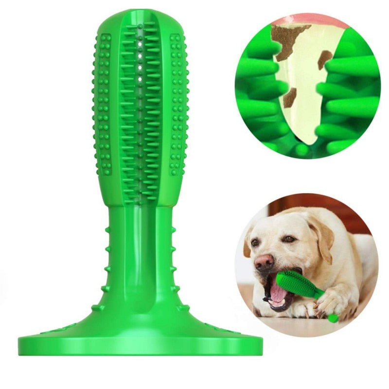 Escova de Dente de Cachorro
